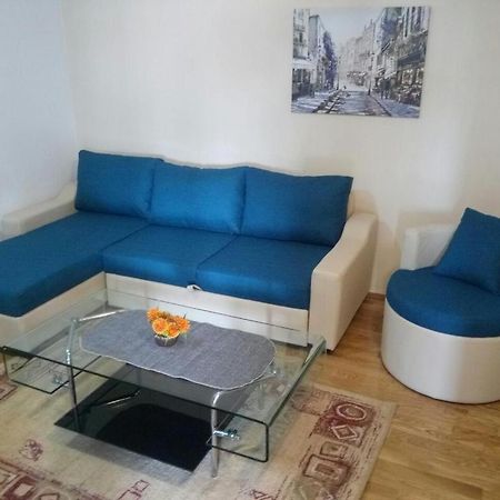 Apartman Ozi Petrovac Eksteriør billede